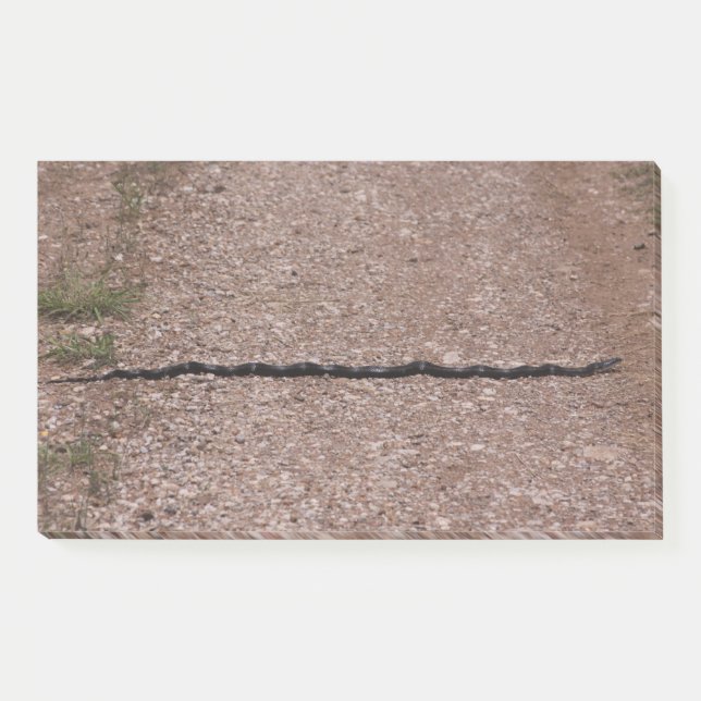 Rat Snake Post-it Notes (Front)