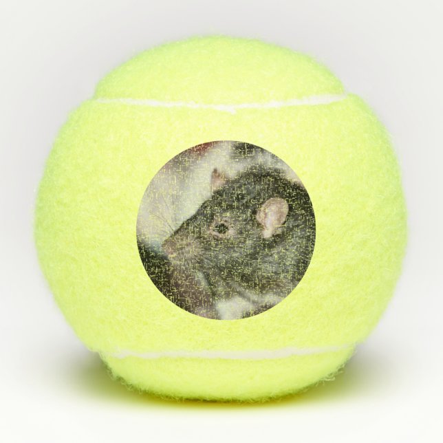 Rat Tennis Balls (Front)