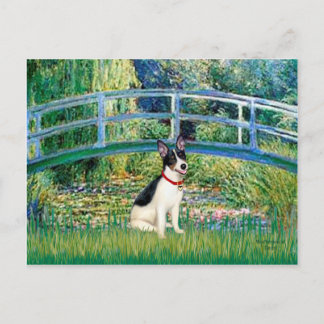 Rat Terrier - Bridge Postcard
