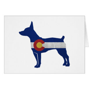 Rat Terrier Chien race Geo Silhouette Colorado Car