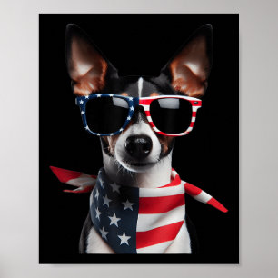 Rat Terrier Dog 4th Of July American Independence  Poster