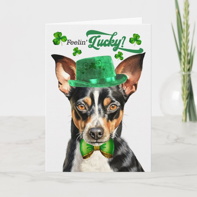 Rat Terrier Dog Feelin&#x27; Lucky St Patrick&#x27;s Day Holiday Card (Front)