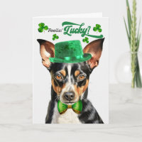 Rat Terrier Dog Feelin' Lucky St Patrick's Day