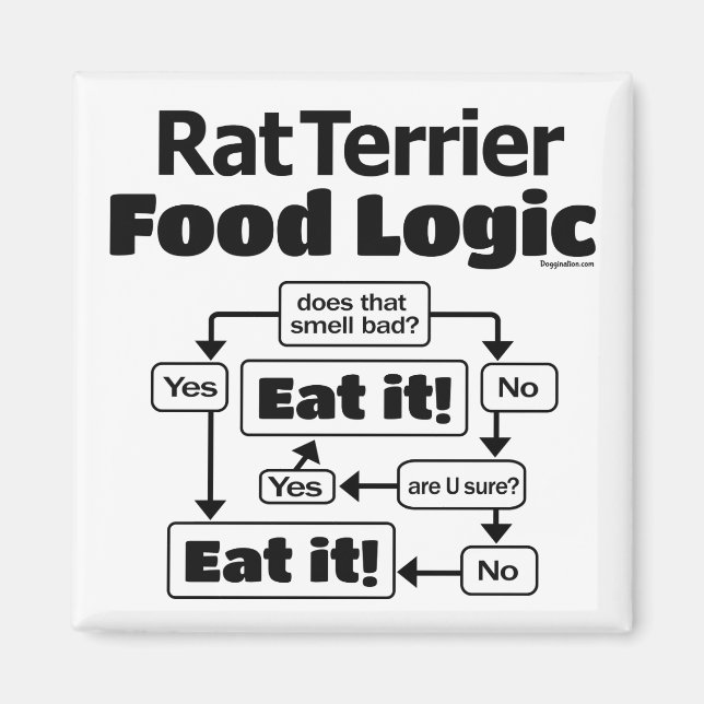 Rat Terrier Food Logic Magnet (Front)