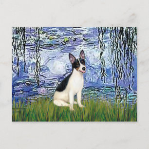 Rat Terrier - Lilies 6 Postcard