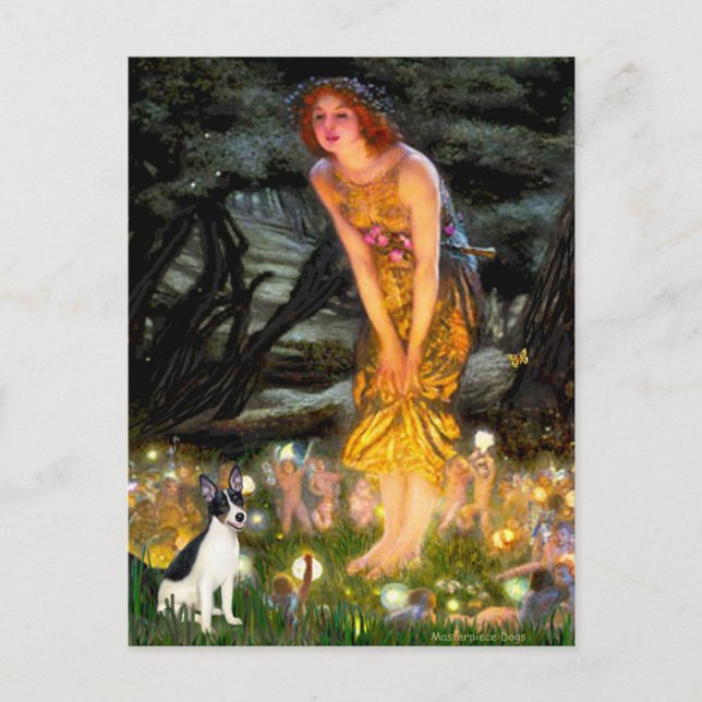 Rat Terrier - MidEve Postcard (Front)