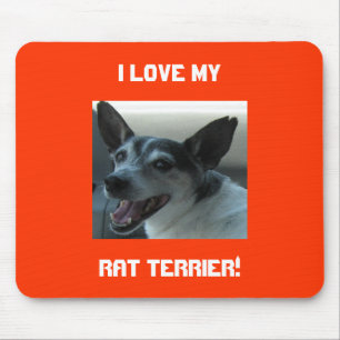 Rat Terrier Mouse Pad