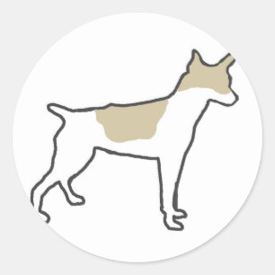 rat_terrier silo white and tan classic round sticker
