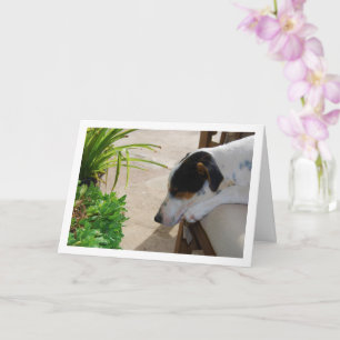 Rat Terrier Sleeping Portrait Card