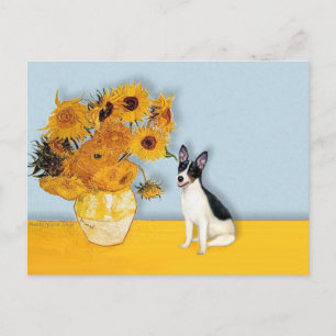 Rat Terrier - Sunflowers Postcard