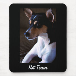 Rat Terrier v2 Mousepad