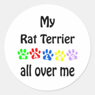 Rat Terrier Walks Design Classic Round Sticker