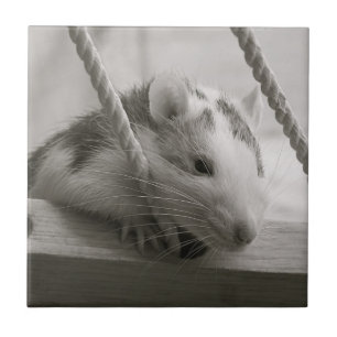 Rat Tile