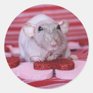 Rat Valentine Stickers