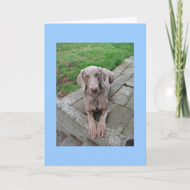 rater votre carte (Devant)