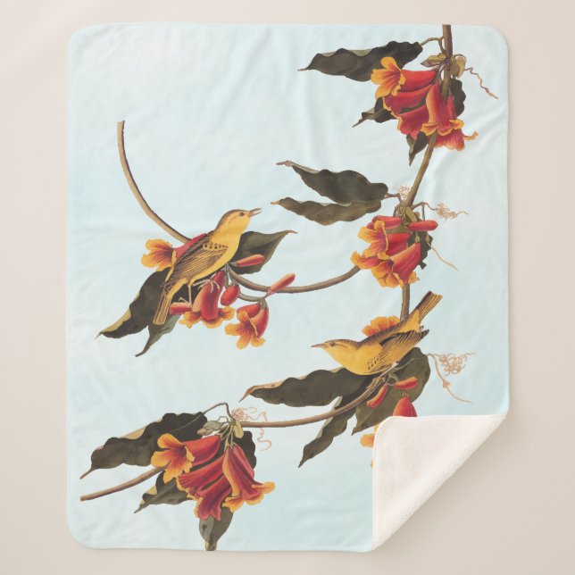 Rathbone's Warbler Song Bird on Crossvine Fleece B Sherpa Blanket (Front)