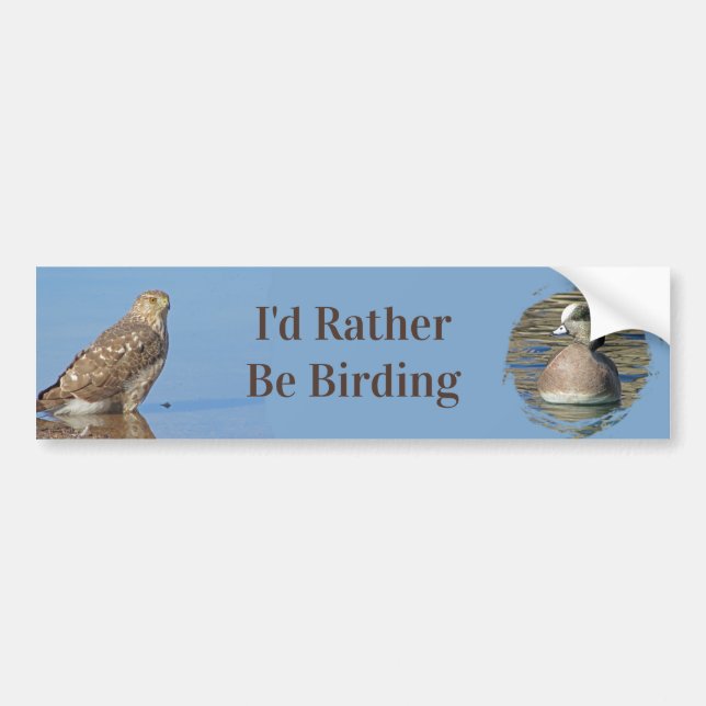 Rather Be Birding Hobby Wild Raptor Bird Hawk Bumper Sticker (Front)