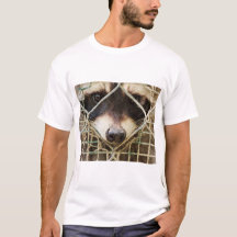 raton laveur sur des t-shirts