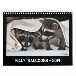 Ratons laveurs idiots - calendrier 2014