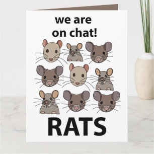 Rats Animal We Are On Chat Funny Rats Card