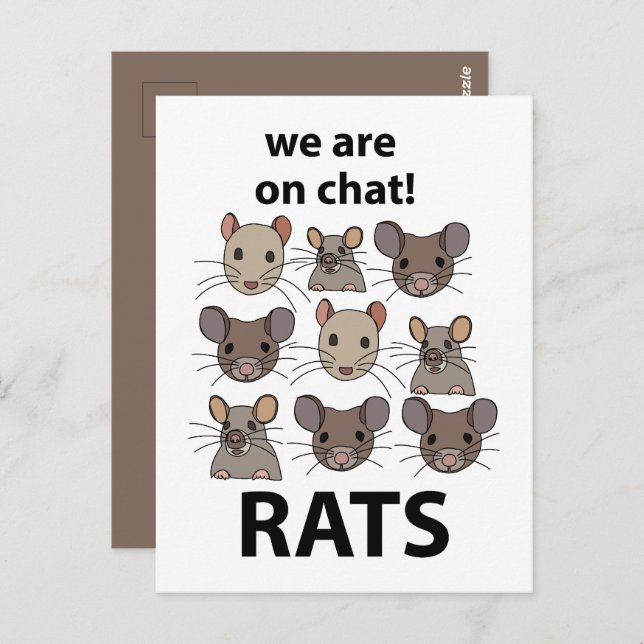 Rats Animal We Are On Chat Funny Rats Postcard (Front/Back)