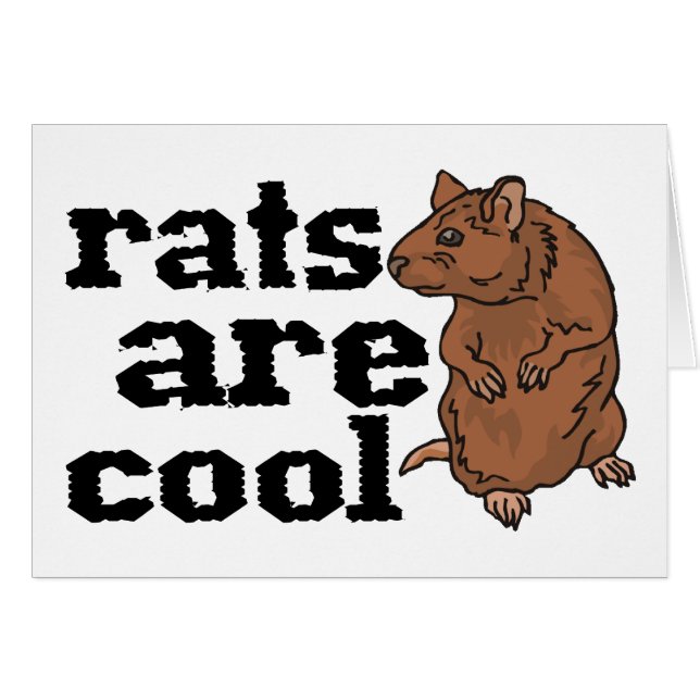 Rats Are Cool (Front Horizontal)