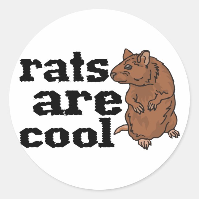 Rats Are Cool Classic Round Sticker (Front)