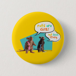 Rats Are Cute But Kinda Stinky 2 Inch Round Button
