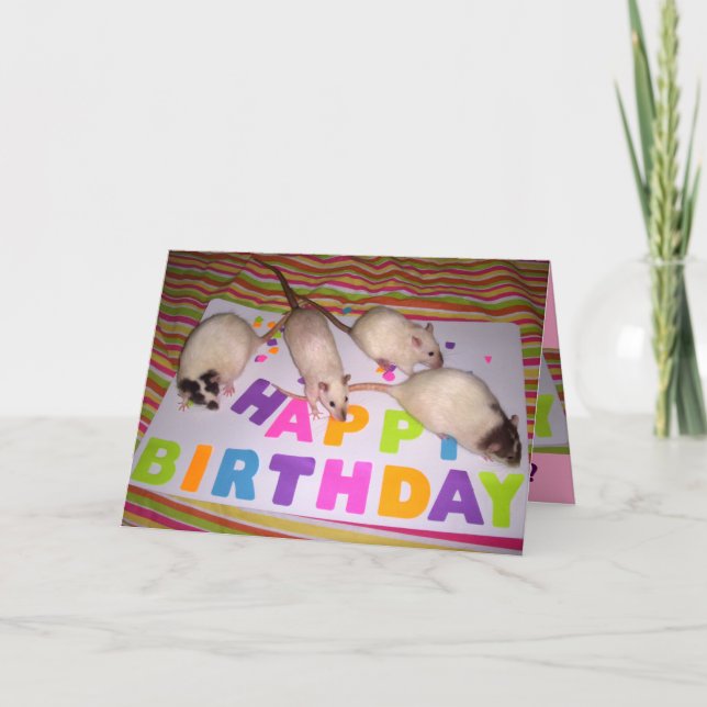 Rats Birthday Card! v1 Card (Front)