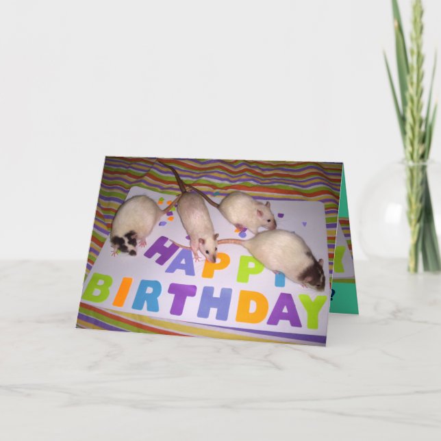 Rats Birthday Card! v2 Card (Front)