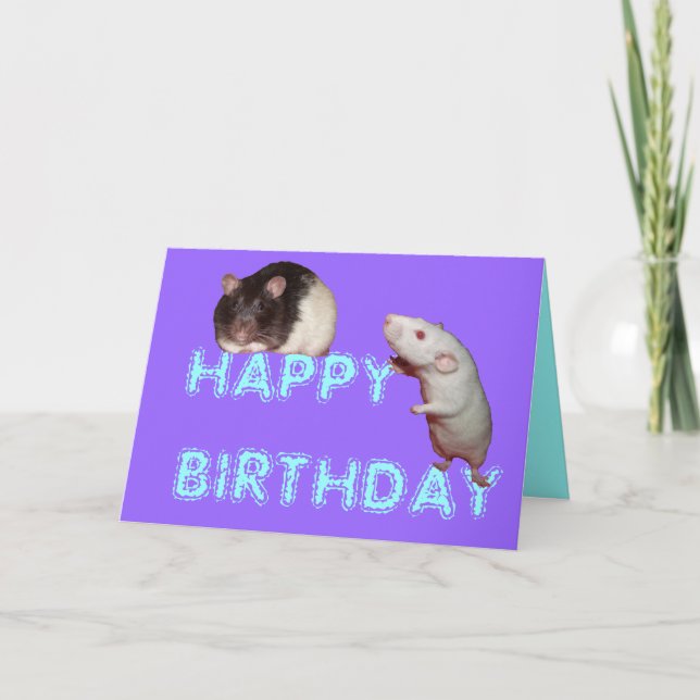 rats happy birthday card (Front)