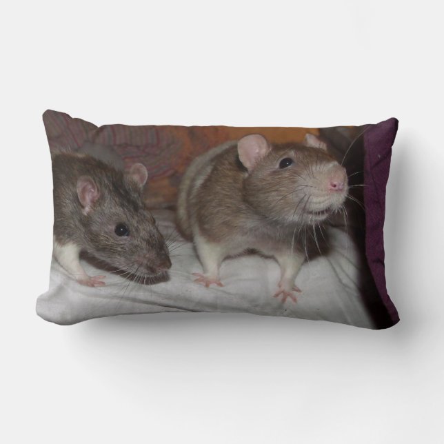 rats lumbar pillow (Front)