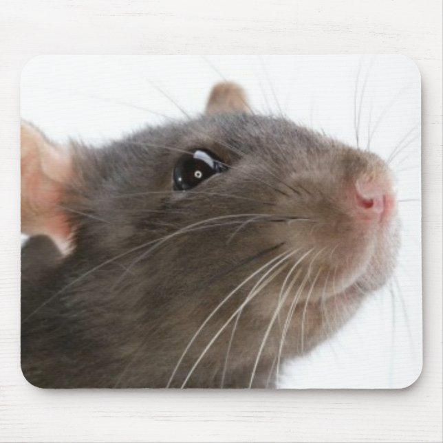 Rats!!! Mouse Pad (Front)