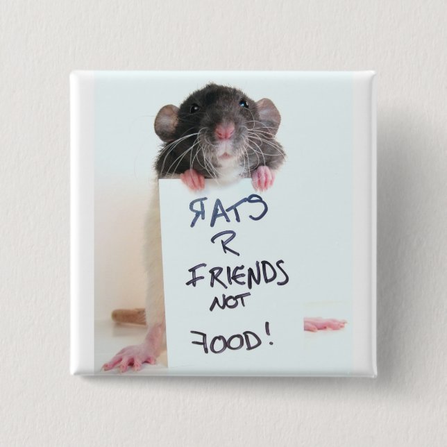 Rats R Friends Not Food 2 Inch Square Button (Front)