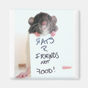 Rats R Friends Not Food 2 Magnet