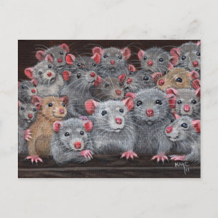 Rats Rattie Reunion 2 Carte postale