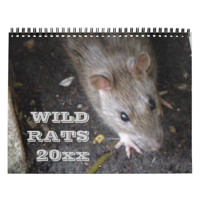 Rats sauvages Calendrier personnalisé (Protection)