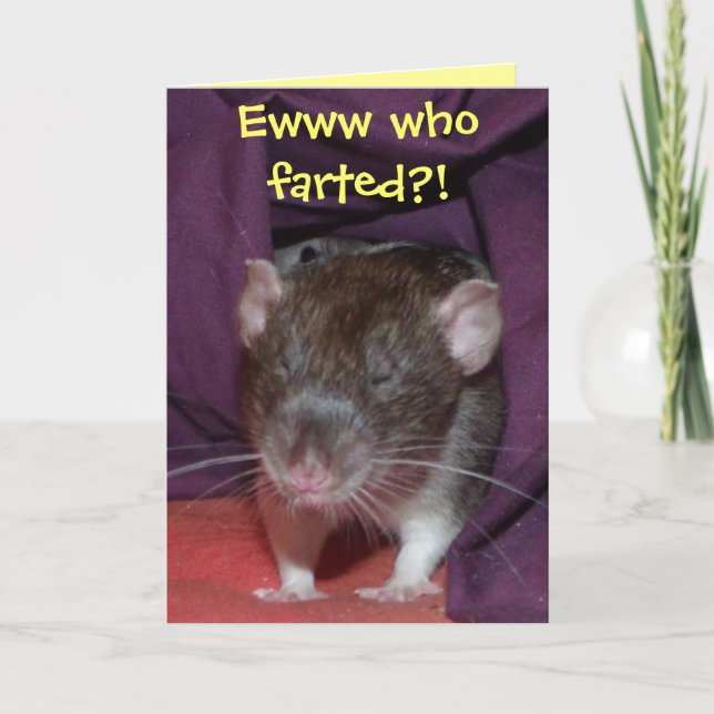 rats talking customizable greetings card (Front)