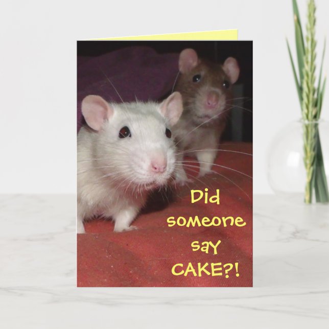 rats talking greetings card (Front)