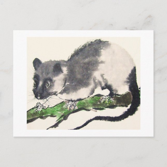 Ratte No. 09 * Rat * Ratten-Postkarten * Rat-Postc Postcard (Front)