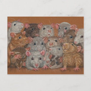 Rattie Reunion III carte postale groupe de rats de