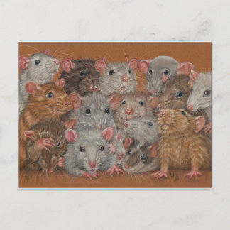 Rattie Reunion III carte postale groupe de rats de