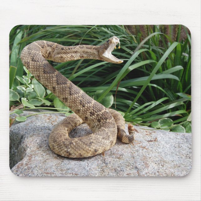 rattle snake on a rock mouse pad (Front)