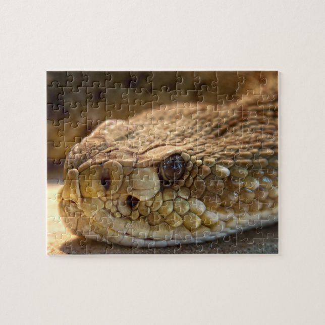 Rattle Snake's Head Jigsaw Puzzle (Horizontal)
