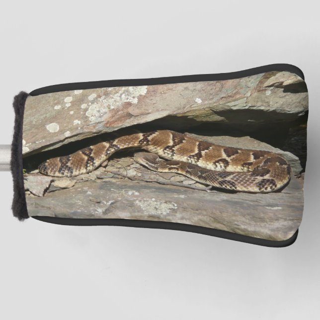 Rattlesnake at Shenandoah National Park Golf Head Cover (Front)