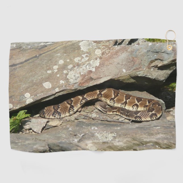 Rattlesnake at Shenandoah National Park Golf Towel (Horizontal)