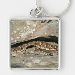 Rattlesnake at Shenandoah National Park Keychain