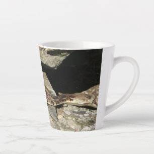 Rattlesnake at Shenandoah National Park Latte Mug