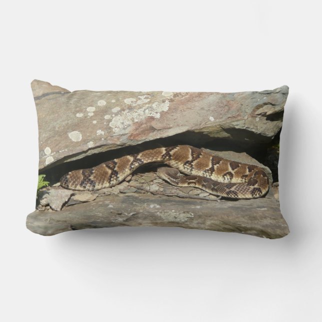 Rattlesnake at Shenandoah National Park Lumbar Pillow (Front)