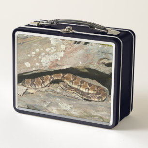 Rattlesnake at Shenandoah National Park Metal Lunch Box